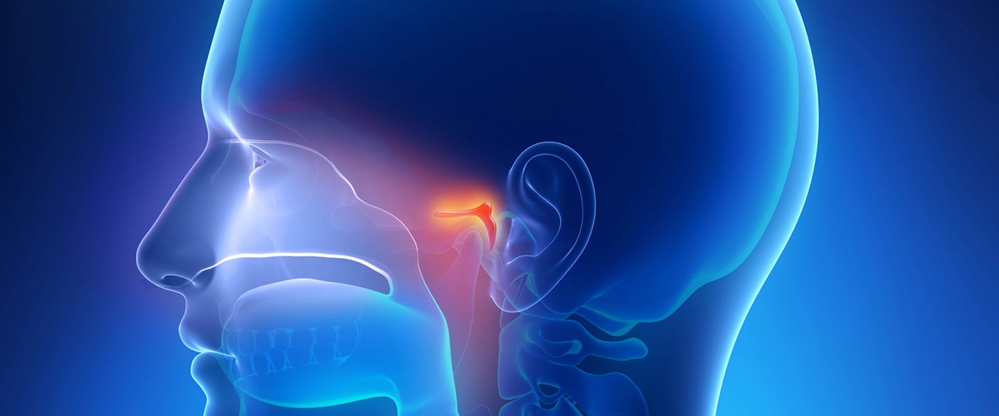 Geniz Eti 1 geniz eti